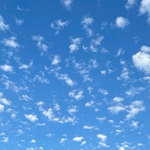 Meet your Posher, Henry